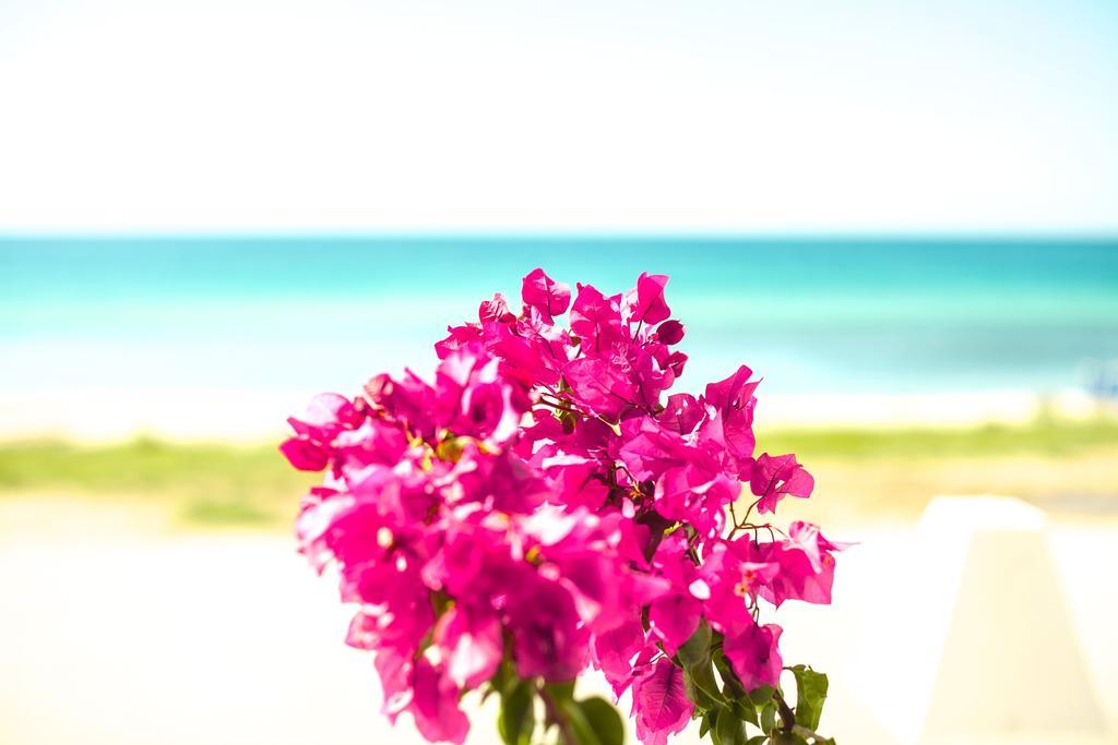 Bouganvillia Homes Nikiti (Sithonia) Exterior foto